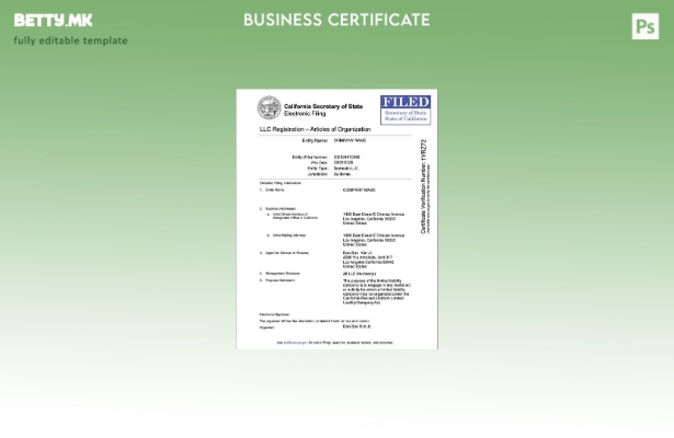 Модерен стил УСА Калифорнија ДОО регистрација Шаблон за Word и PDF шаблон